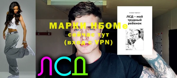 гидра Кодинск