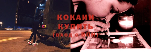 ГАЛЛЮЦИНОГЕННЫЕ ГРИБЫ Козловка
