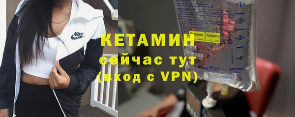 ГАЛЛЮЦИНОГЕННЫЕ ГРИБЫ Козловка