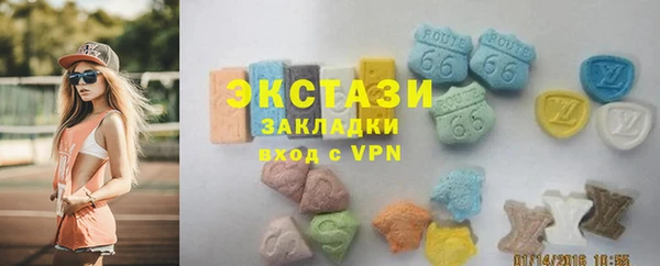 гидра Кодинск