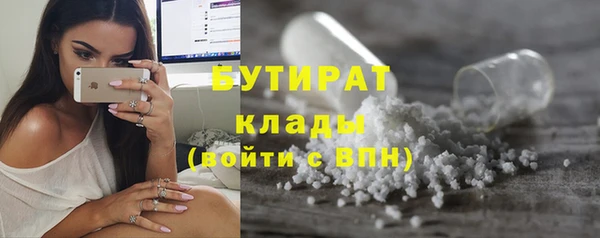 ГАЛЛЮЦИНОГЕННЫЕ ГРИБЫ Козловка