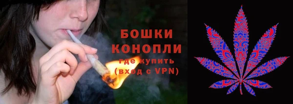 гидра Кодинск