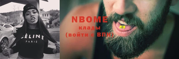 гидра Кодинск