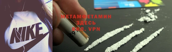 ГАЛЛЮЦИНОГЕННЫЕ ГРИБЫ Козловка