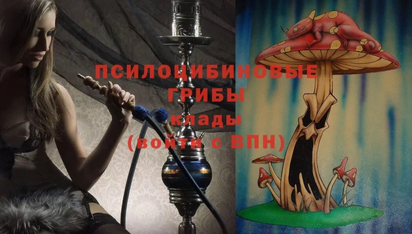 ГАЛЛЮЦИНОГЕННЫЕ ГРИБЫ Козловка