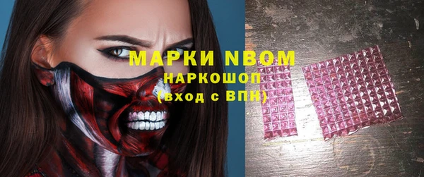 гидра Кодинск