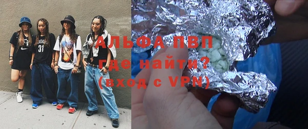 гидра Кодинск