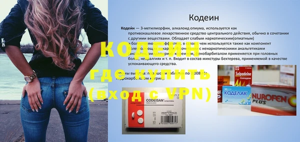 гидра Кодинск