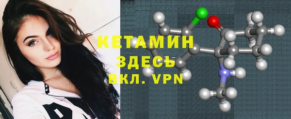 гидра Кодинск