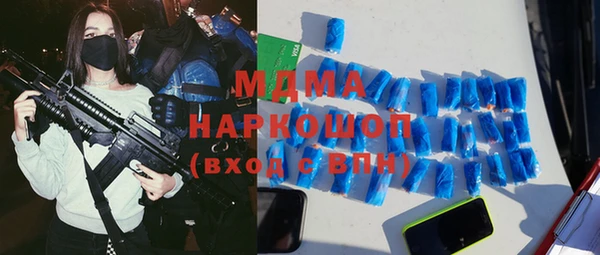 гидра Кодинск