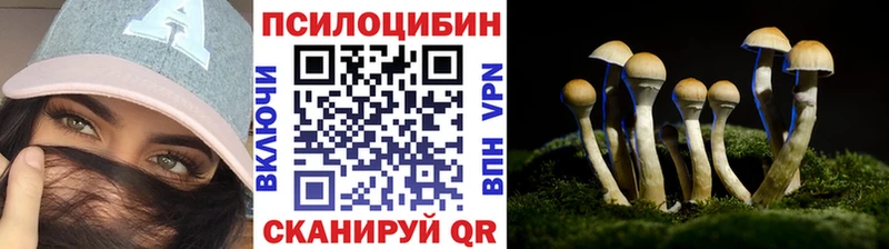 Псилоцибиновые грибы ЛСД  ссылка на мегу зеркало  Октябрьский 