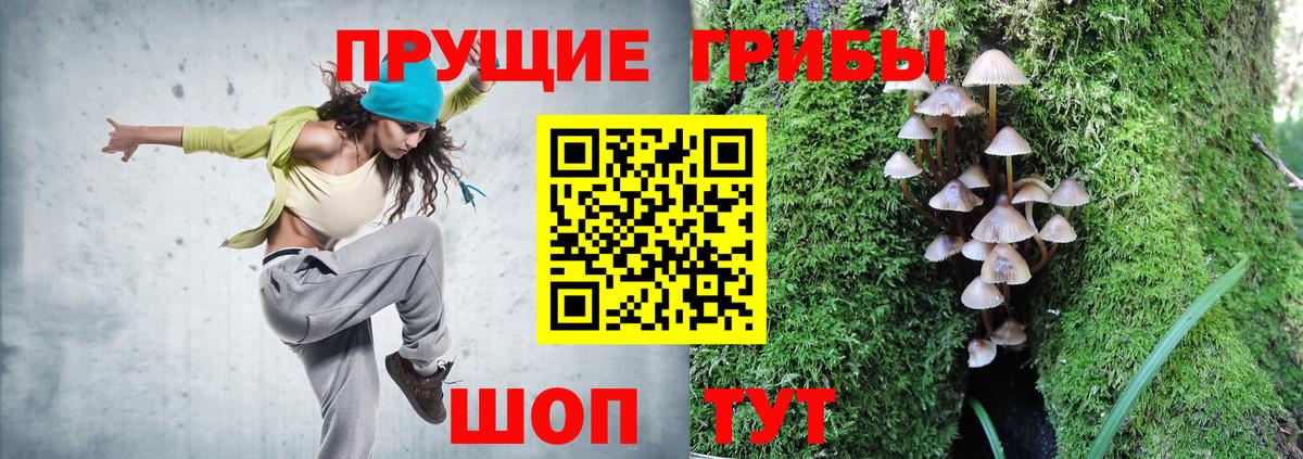 Октябрьский  где купить наркоту  Вход с VPN  Галлюциногенные грибы Psilocybine cubensis 