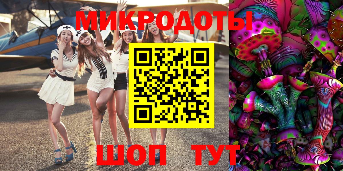 Галлюциногенные грибы Psilocybe Октябрьский