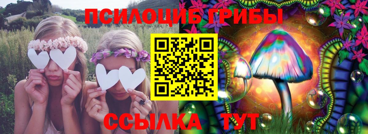 Галлюциногенные грибы GOLDEN TEACHER Октябрьский