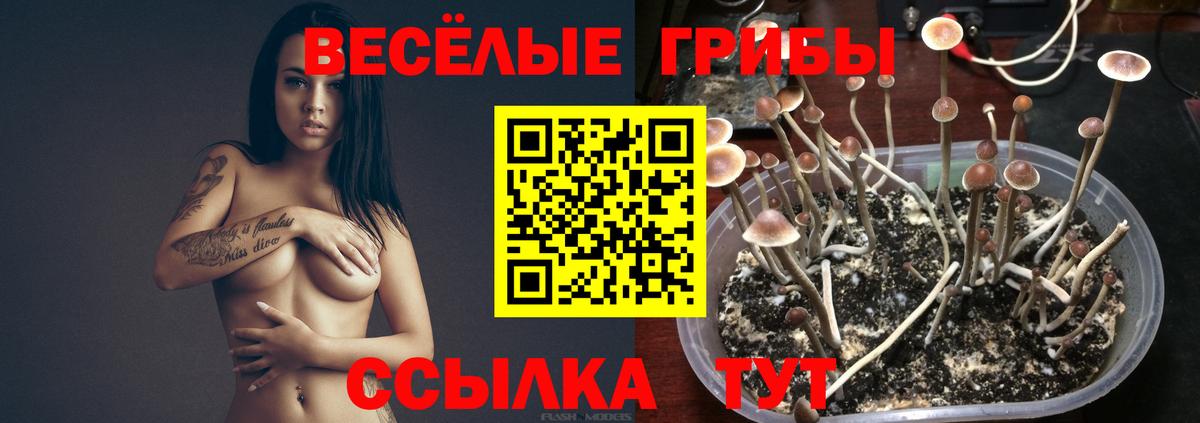Октябрьский  Галлюциногенные грибы Psilocybine cubensis  Вход с VPN 